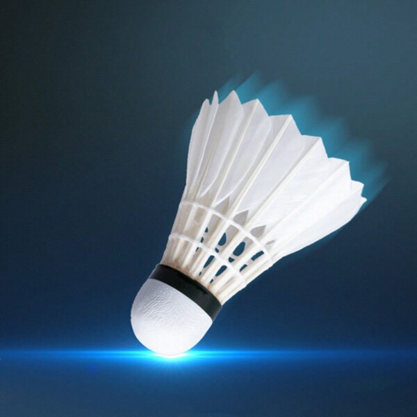 6 Stücke Entenfedern Badminton Federbälle, langanhaltend und professionell für Wettkämpfe und Training