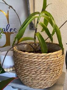 3PCS Straw Pot, Minmalist Soiid Coior Plant Container For Home