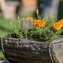 Fertilizer Basket Cylindrical Bonsai Fertilizer Box Automatic Planting Fertilizers Baskets For Planting Fertilization 10Pcs (Small Sphere) - Silver - View 5