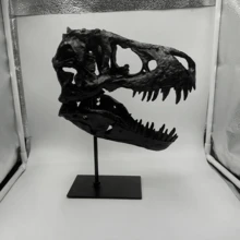 Soporte de exhibición del cráneo fósil de Tiranosaurio Rex jurásico, modelo de esqueleto de hueso, regalo para hombres, accesorio decorativo - Negro - Ver 6