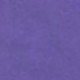 Lilac Purple