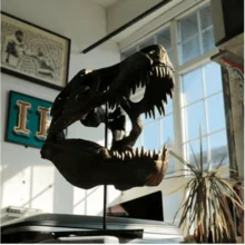 Soporte de exhibición del cráneo fósil de Tiranosaurio Rex jurásico, modelo de esqueleto de hueso, regalo para hombres, accesorio decorativo - Negro - Ver 5