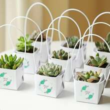 30入組，感謝多肉植物包裝適用於2英寸迷你盆，多肉盒子，牛皮紙禮品袋裝飾袖套，多肉標籤裝飾用於婚禮禮物想法，教師讚賞日，小型企業用品 - 彩色 - 查看 4