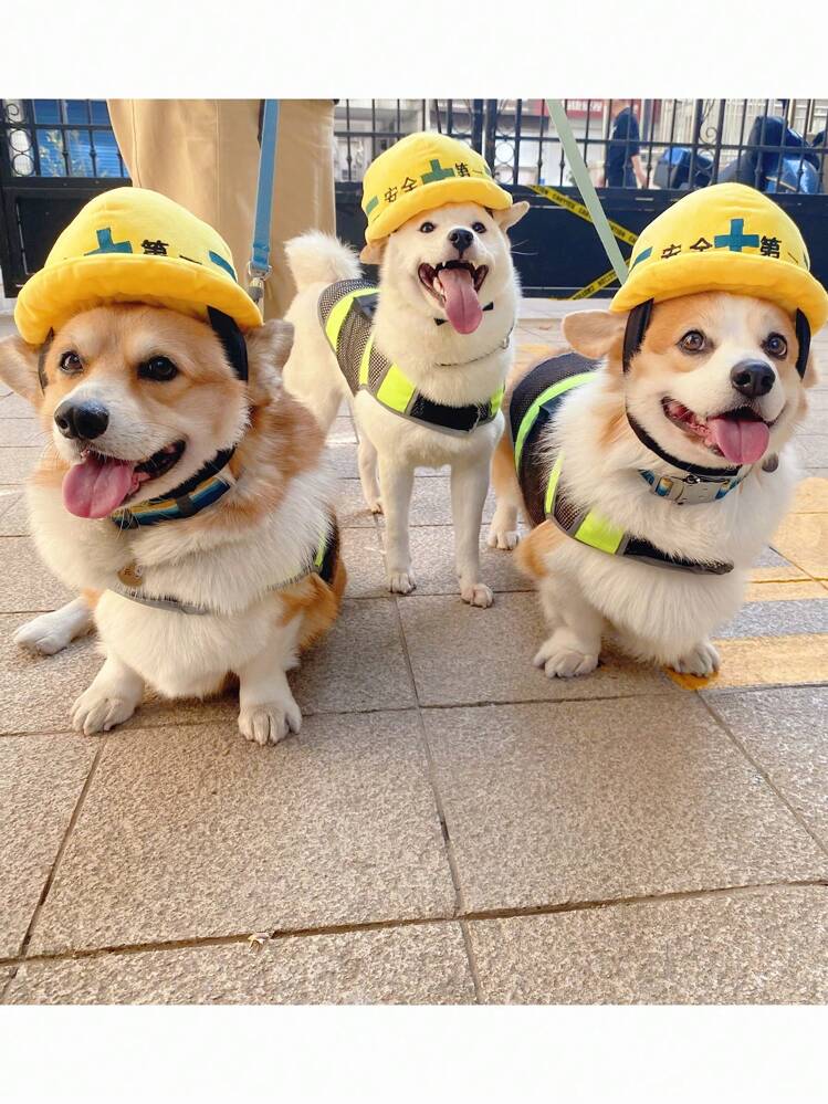 corgi-corgi（コーギーコーギー）トップハット／シルクハット 帽子