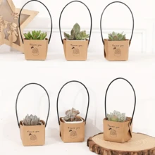 30入組，感謝多肉植物包裝適用於2英寸迷你盆，多肉盒子，牛皮紙禮品袋裝飾袖套，多肉標籤裝飾用於婚禮禮物想法，教師讚賞日，小型企業用品 - 彩色 - 查看 6