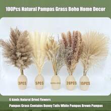 100 件蒲苇草波西米亚风家居装饰 17 英寸天然干花 - 蒲苇草包含兔子尾巴白色蒲苇棕色蒲苇。波西米亚风装饰适用于农舍婚礼波西米亚风墙壁浴室办公室厨房……，情人节，礼物