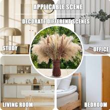 100 件蒲苇草波西米亚风家居装饰 17 英寸天然干花 - 蒲苇草包含兔子尾巴白色蒲苇棕色蒲苇。波西米亚风装饰适用于农舍婚礼波西米亚风墙壁浴室办公室厨房……，情人节，礼物