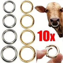10 chiếc móc khóa lò xo kim loại có vòng chia di động, móc khóa xe hơi ba lô túi xách bằng kim loại quà tặng Giáng sinh, linh kiện móc khóa cho quần áo và phụ kiện, móc khóa kết nối túi xách tự làm, móc khóa - Nhiều màu - Xem 6
