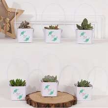 30入組，感謝多肉植物包裝適用於2英寸迷你盆，多肉盒子，牛皮紙禮品袋裝飾袖套，多肉標籤裝飾用於婚禮禮物想法，教師讚賞日，小型企業用品 - 彩色 - 查看 7