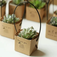 30入組，感謝多肉植物包裝適用於2英寸迷你盆，多肉盒子，牛皮紙禮品袋裝飾袖套，多肉標籤裝飾用於婚禮禮物想法，教師讚賞日，小型企業用品 - 彩色 - 查看 5