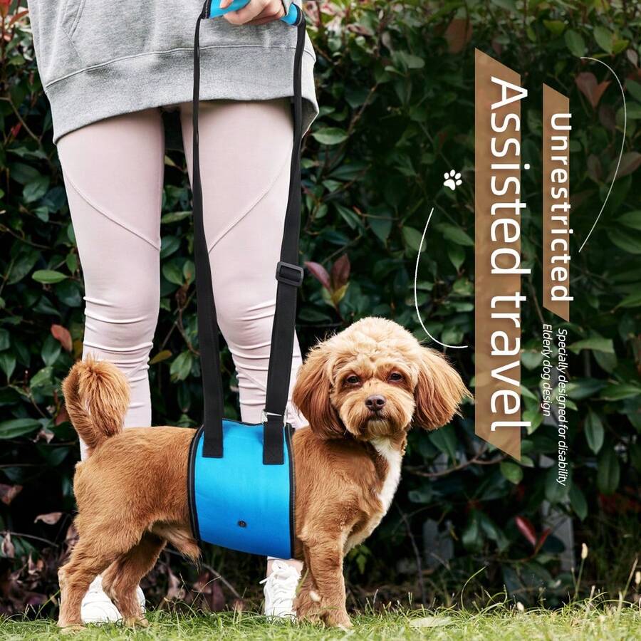 1pc Adjustable Pet Lifting Harness With Abdominal Support, Assistive Tool For Elderly Or Sick Dogs - Multicolor - View 1