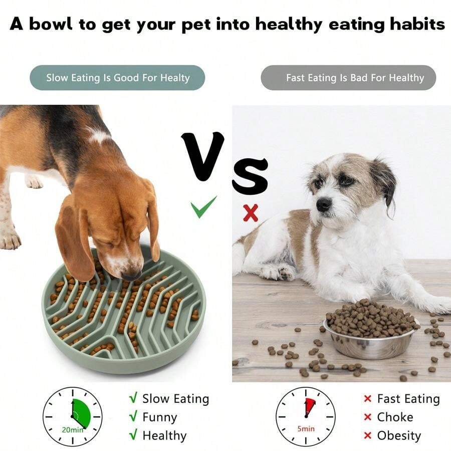Aliments Pour Animaux De Compagnie Dans Des Bols Et Des Jouets Isolés