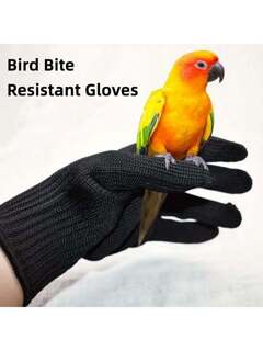 مستلزمات الحيوانات الأليفة