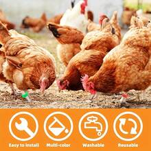 50pcs, 20mm (0.78inch) Poultry Identification Rings With Open Design, Featuring Buckle-Style Fastening For Chicken, Duck, And Goose. These Rings Serve As Foot Rings Or Tags - Multicolor - View 3