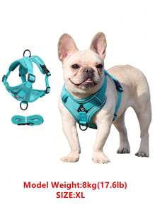 Reflective Pet Harness And Leash Set For Dog & Cat, Escape Proof Adjustable Small Dog Harness With Soft Mesh