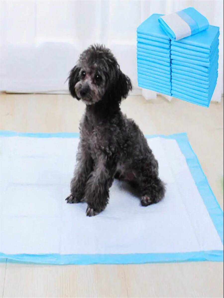 100 pièces Serviettes hygiéniques jetables super absorbantes pour chien, tampon épais de couche
