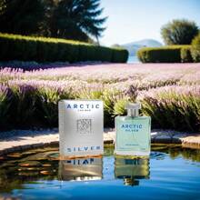 perfumes de CABALLERO ARTIC SILVER FOR MEN 100ML fragancia de larga duración - Fresco - Ver 5