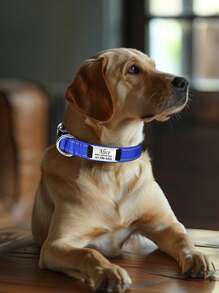 1Pc Reflective Personalized Dog Collar With Nameplate, Adjustable Dog Collar With Custom Engraved Steel Slide On Pet ID Tag, Silent, No Noise Dog Tag For Large Medium Or Small Large Comfort-Fit Neoprene Dog Collar For Small And Medium Breeds - Hi-Vis Reflective Adjustable, Soft Padding For Optimal Comfort - Ideal For Daily Walks & Outdoor Adventures