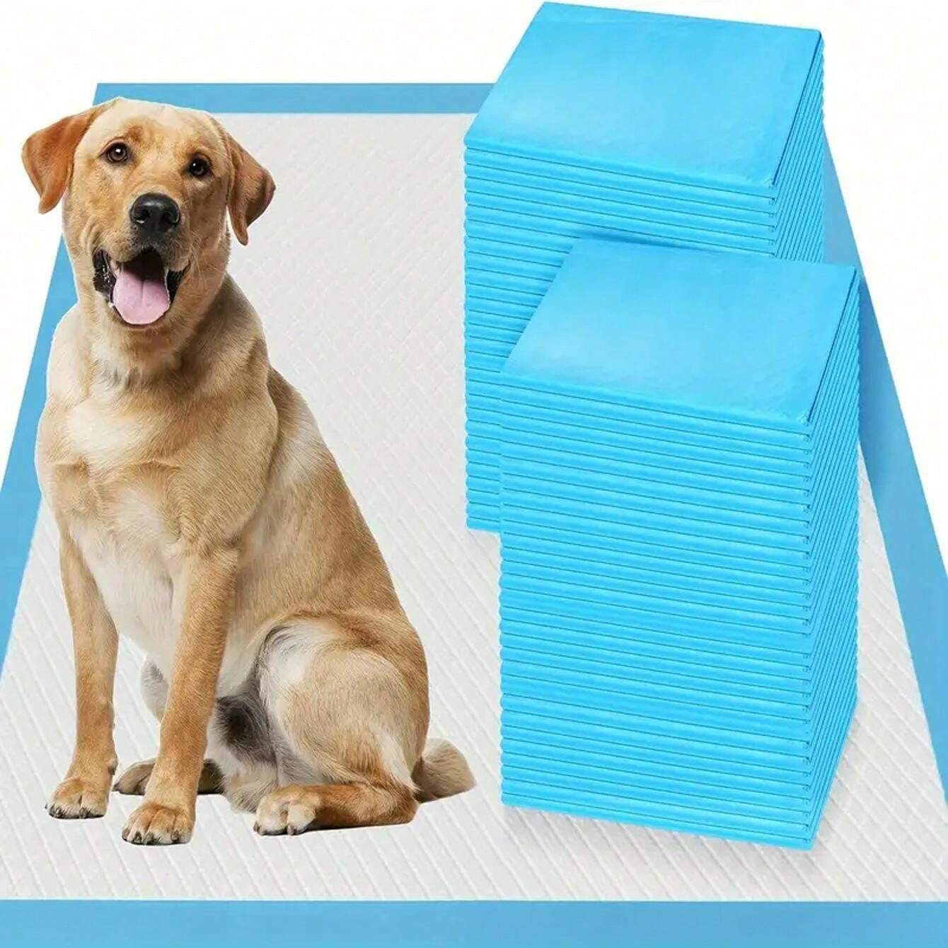 30pcs Extra Large 31in X 36in Dog Training Pads Highly Absorbent And