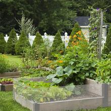Cerca de plástico multifuncional, perfecta para aves de corral, perros, conejos, recintos de serpientes, barreras de plantas de jardín, frutas, verduras, protección de balcones y red de aislamiento de ventanas - Negro - Ver 6