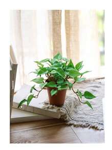 1 cây mọng nước bằng cao su mềm, cây tiền Trung Quốc mô phỏng & lá cọ đỏ, lá nhân tạo cây tiền Trung Quốc, không bao gồm chậu, cây xanh trang trí nhà cửa, trang trí bàn làm việc, ngày lễ tình nhân, quà tặng sinh nhật tốt nghiệp trở lại trường trang trí phòng học đồ dùng học tập - cây đồng - Xem 10