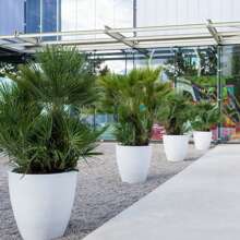 Well Home Flower Pots & Planters - 彩色 - 查看 5