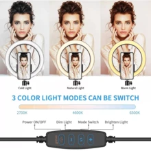 Flash & Fill Lights - 14" - View 2
