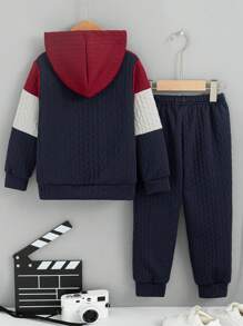 2pcs Young Boy Casual Color Block Hooded Long Sleeve Top And Drawstring Pants Set, Spring & Autumn Outfits