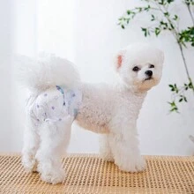 Pet Diapers Dog Pee Pads Menstrual Pads For Female And Male Dogs, Rabbits; Physiological Pants For Heat Estrus Or Incontinence - Multicolor - View 4