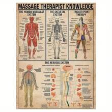 1 pièce Le rêve du thérapeute de massage : décoration artistique sur canevas sans cadre - Anatomie et point de déclenchement, convient pour les studios et les cadeaux - Sans cadre