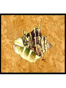 Shell Indoor Or Outdoor Doormat - 彩色 - 查看 1