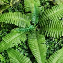 HOHOBLA LOYALHEARTDY-BTG 9Pcs 23.62"X15.75"X1.57" Artificial Mat Greenery Panels Topiary Hedge Plant, Privacy Hedge Screen Suitable For Outdoor Garden Backyard Fence Fence Privacy Screen And Indoor Wall Decor[Best Gift For Family&Friends] Wedding Party Favors Room Decor Bride - Green - View 6