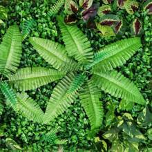 HOHOBLA LOYALHEARTDY-BTG 9Pcs 23.62"X15.75"X1.57" Artificial Mat Greenery Panels Topiary Hedge Plant, Privacy Hedge Screen Suitable For Outdoor Garden Backyard Fence Fence Privacy Screen And Indoor Wall Decor[Best Gift For Family&Friends] Wedding Party Favors Room Decor Bride - Green - View 9