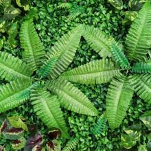 HOHOBLA LOYALHEARTDY-BTG 9Pcs 23.62"X15.75"X1.57" Artificial Mat Greenery Panels Topiary Hedge Plant, Privacy Hedge Screen Suitable For Outdoor Garden Backyard Fence Fence Privacy Screen And Indoor Wall Decor[Best Gift For Family&Friends] Wedding Party Favors Room Decor Bride - Green - View 8