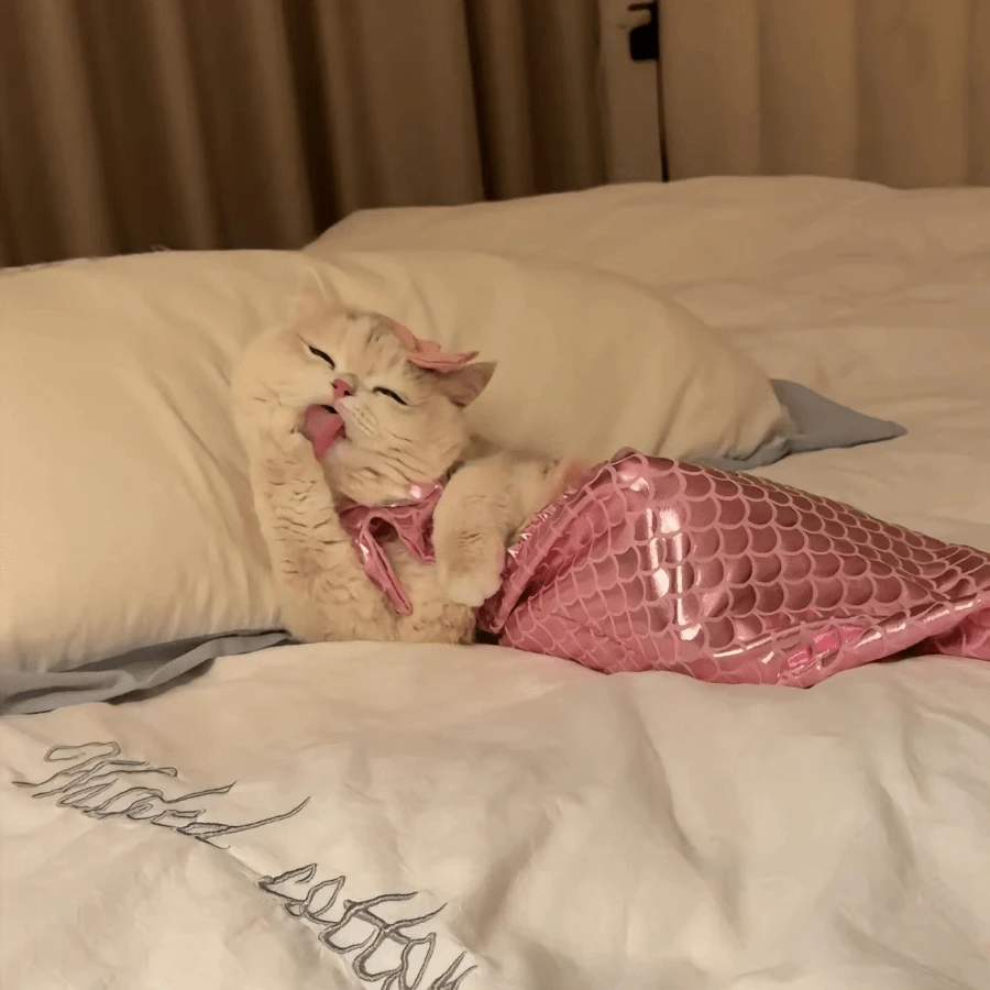 Mermaid Cat Costume, Funny Bikini Dog Summer Clothes Set, Cute Swimwear With Fish Tail Design