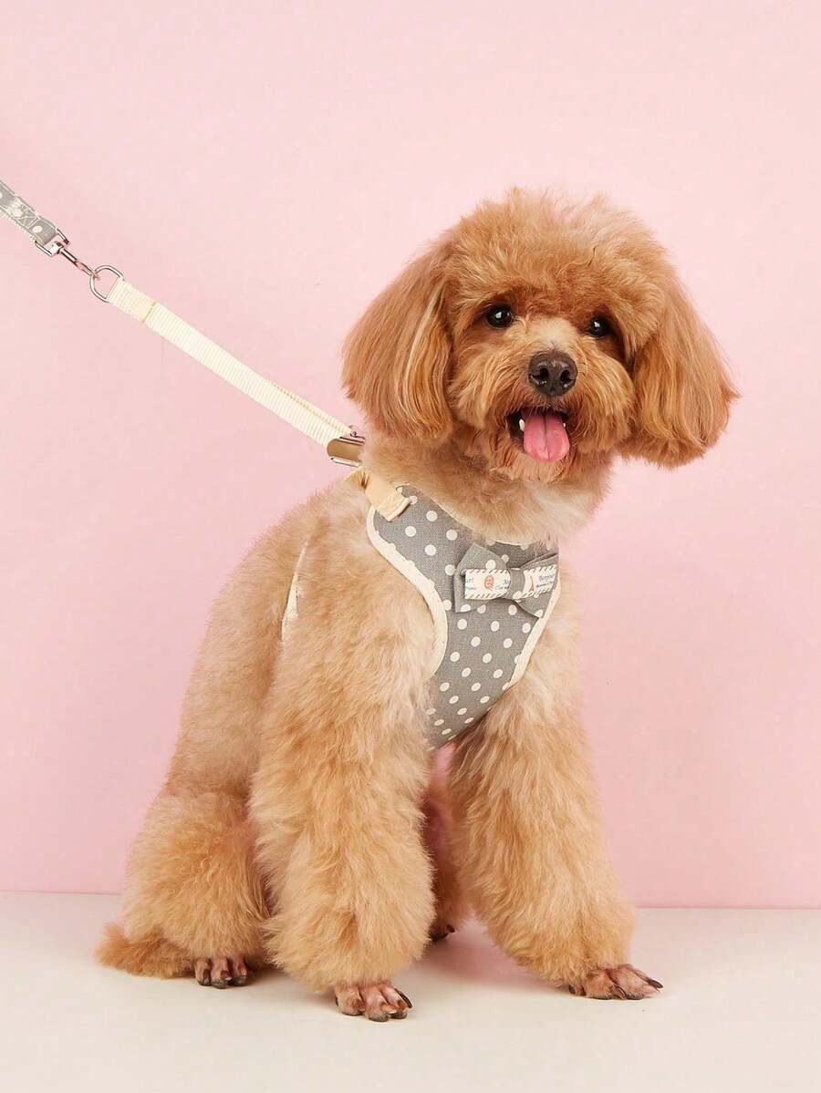 1 pieza Arnés para mascotas con patrón de lunares con 1 pieza correa para perro para exterior - Gris - Ver 1