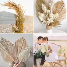 1/3/5 piezas Hojas de palma secas grandes, naturales y recortadas, hojas de palma tropical, abanicos, decoración de boda bohemia, fiesta hawaiana de Luau, decoración de cocina, flores secas, decoración de Pampas Grass, San Valentín, regalo, decoración de otoño, otoño, plantas falsas