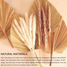 1/3/5 piezas Hojas de palma secas grandes, naturales y recortadas, hojas de palma tropical, abanicos, decoración de boda bohemia, fiesta hawaiana de Luau, decoración de cocina, flores secas, decoración de Pampas Grass, San Valentín, regalo, decoración de otoño, otoño, plantas falsas