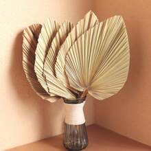1/3/5 piezas Hojas de palma secas grandes, naturales y recortadas, hojas de palma tropical, abanicos, decoración de boda bohemia, fiesta hawaiana de Luau, decoración de cocina, flores secas, decoración de Pampas Grass, San Valentín, regalo, decoración de otoño, otoño, plantas falsas