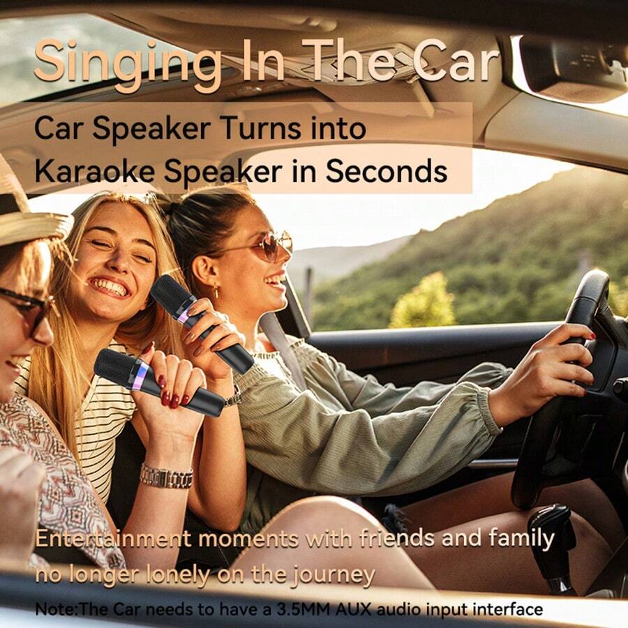 DSK2 Karaoke Begleiter Drahtloses Mikrofon Dynamic Bluetooth 5.3 DSP