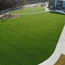 1 Roll Plastic Lawn Simulated Lawn Carpet Lawn Indoor And Outdoor Roof Laying Artificial Thickened Balcony Wedding Carpet, Non-Slip And Oil-Proof Floor Mat - Multicolor - View 4