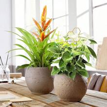 2/5 Pieces Garden Climbing Frame Plant Support, Creative Plant Fixing Rod, Suitable For Indoor And Outdoor Use - Multicolor - View 3