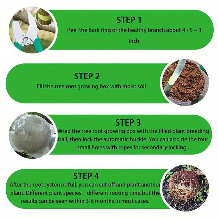 مجموعة أدوات تطعيم وتجذير النبات 10قطعة، جهاز تكاثر عالي الضغط إعادة الاستخدام وبدون تلف، صندوق تطعيم الهواء لتكاثر النبات السريع، جهاز تطعيم الجذور قابل للرؤية - شفاف - مشاهدة 8
