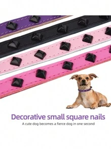CP616 Super Cool Bite-Resistant Leather Pet Collar With Row Of Rivets, Dog Collar - Black - View 5