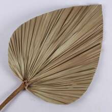 1/3/5 piezas Hojas de palma secas grandes, naturales y recortadas, hojas de palma tropical, abanicos, decoración de boda bohemia, fiesta hawaiana de Luau, decoración de cocina, flores secas, decoración de Pampas Grass, San Valentín, regalo, decoración de otoño, otoño, plantas falsas