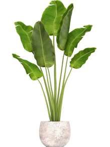 1pc Artificial Green Plant Wall Sticker, Potting Decoration For Living Room, Entrance, Home Adhesive Decorative Paper