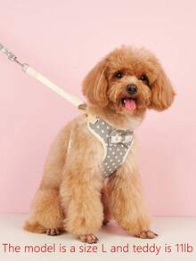 1 pieza Arnés para mascotas con patrón de lunares con 1 pieza correa para perro para exterior - Gris - Ver 3