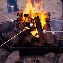 50/90入組一次性竹籤，天然竹製（90入組，2.5mm和3.0mm直徑/50入組，3.5mm和4.0mm直徑），適用於燒烤，開胃菜，水果，雞尾酒，烤肉串，巧克力噴泉，廚房，手工藝品和派對 - 彩色 - 查看 4