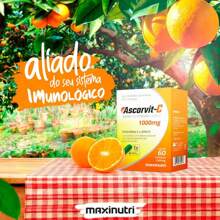 Ascorvit Vitamina C 1000Mg + Zinco 60 Cápsulas Maxinutri - Outros - Visão 4