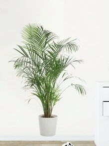 1pc Artificial Green Plant Wall Sticker, Potting Decoration For Living Room, Entrance, Home Adhesive Decorative Paper